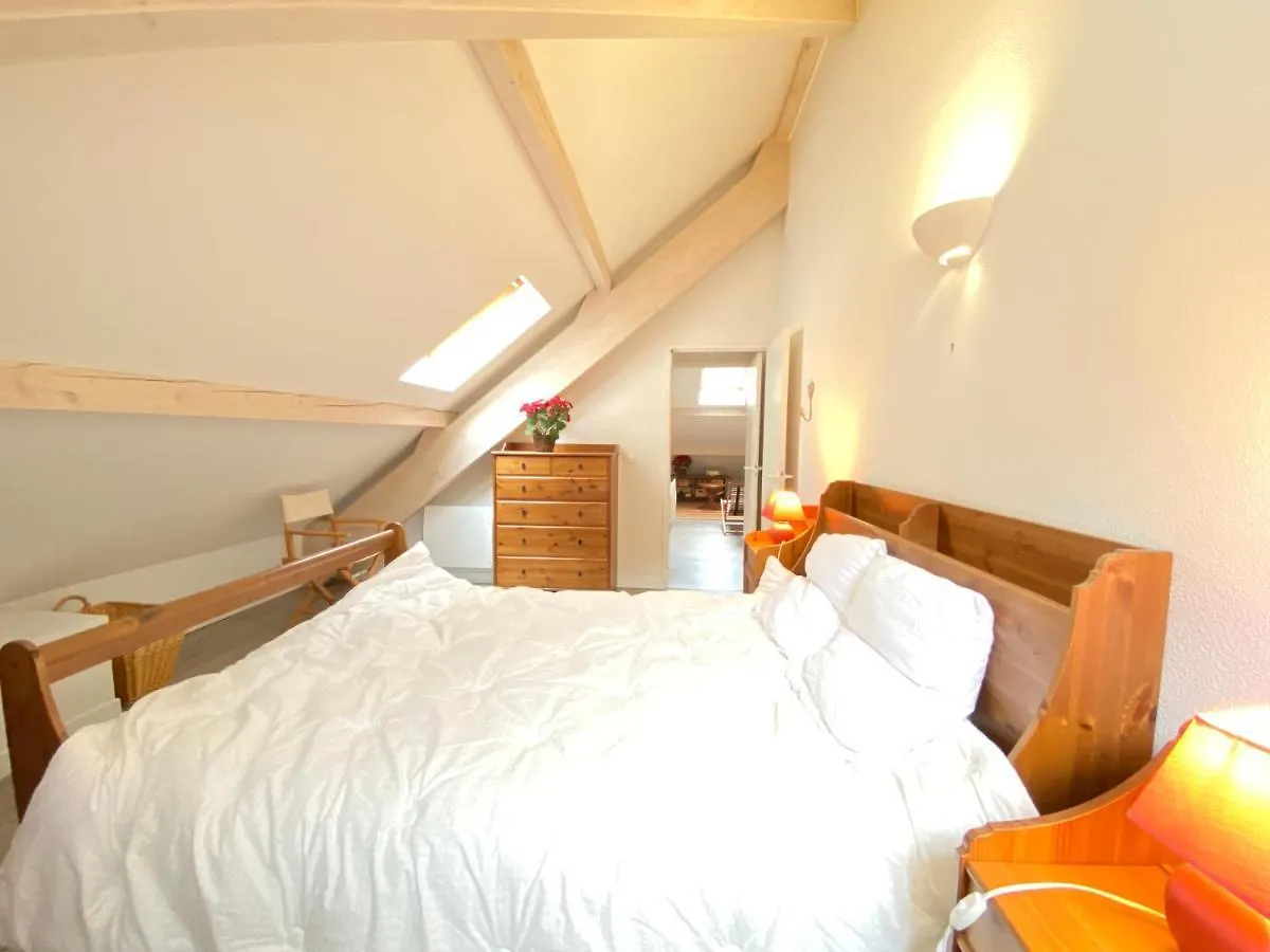 Place De La Mairie T2 Type Loft 70M2 Terrasse 35M2 Cauterets Francia